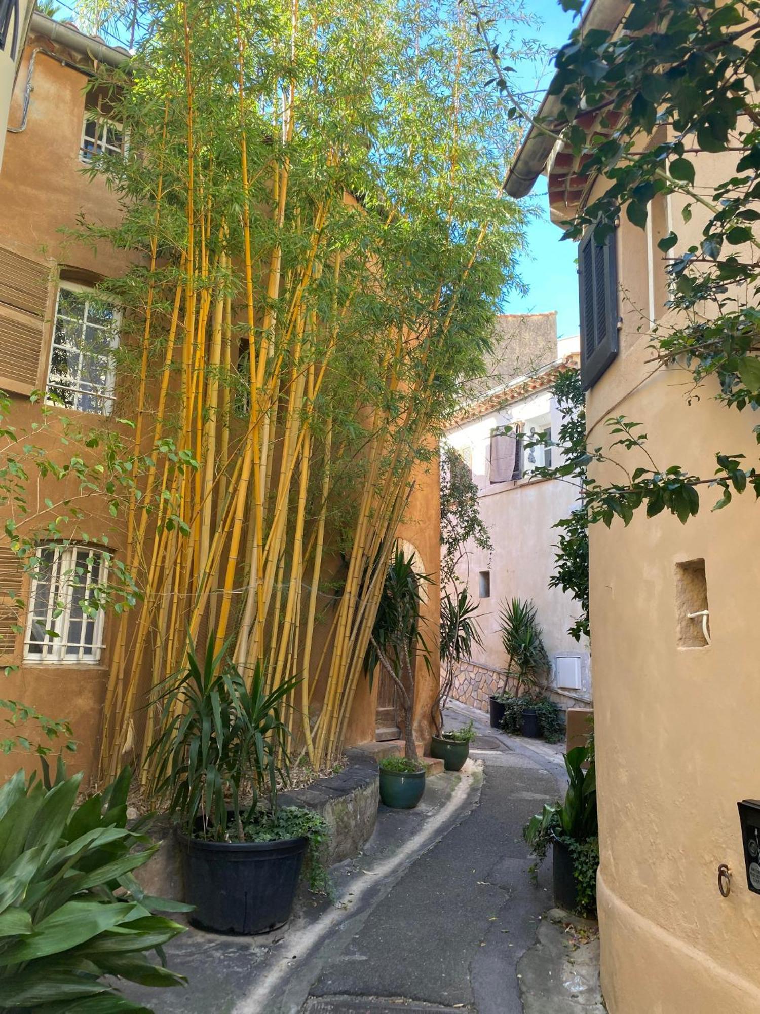 Spacieux Duplex, Vue Mer Et Belle Terrasse Hyeres Exterior photo